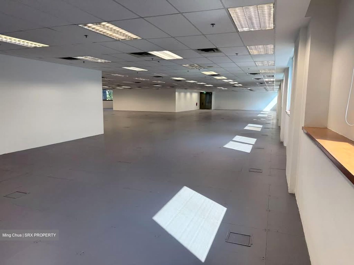 Haw Par Centre (D9), Office #597571291
